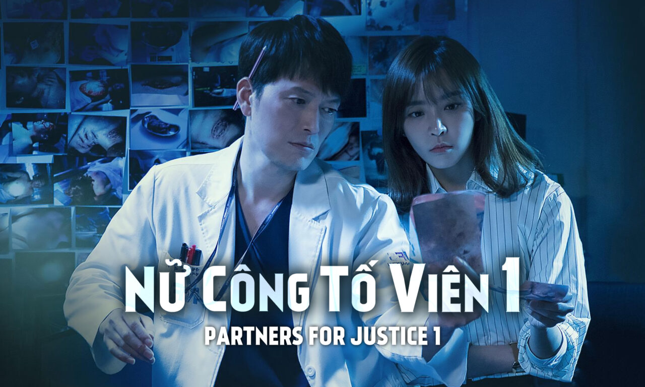 Poster of Nữ công tố viên