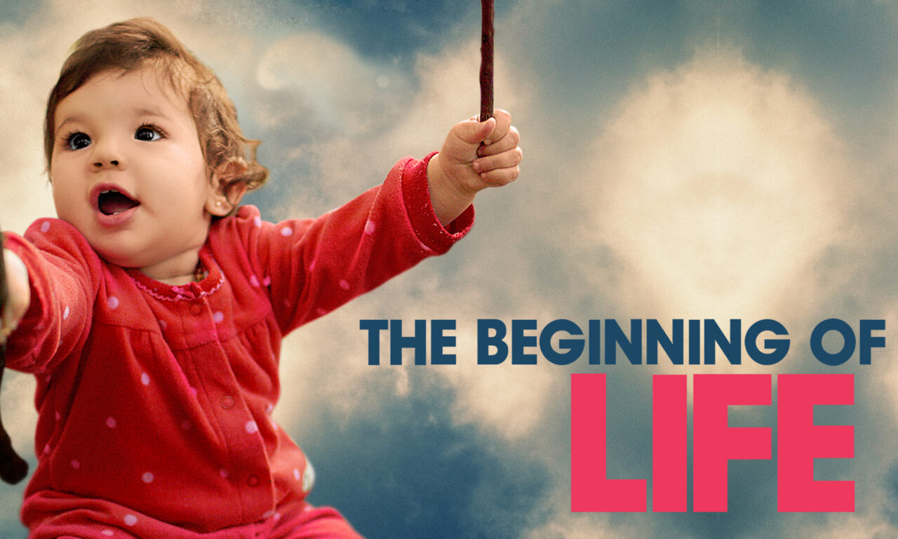 Poster of The Beginning of Life