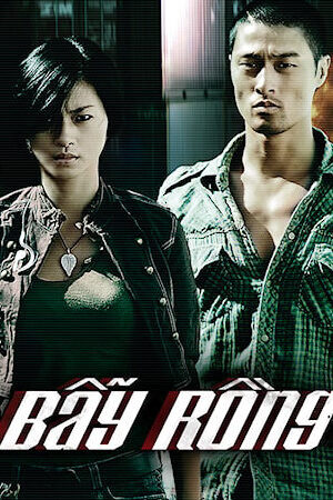 Xem phim Bẫy Rồng  - Clash (2009)