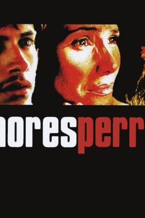 Xem phim Kẻ Vô Đạo  - Amores perros (2000)