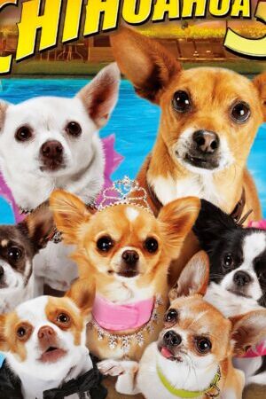 Xem phim Nữ Minh Tinh và Chàng Lãng Tử 3 Bữa Tiệc Lớn  - Beverly Hills Chihuahua 3 Viva la Fiesta (2012)