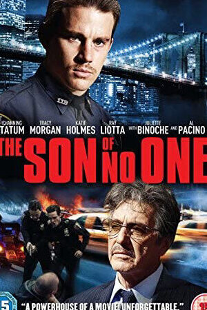 Xem phim Con Hoang  - The Son of No One (2011)