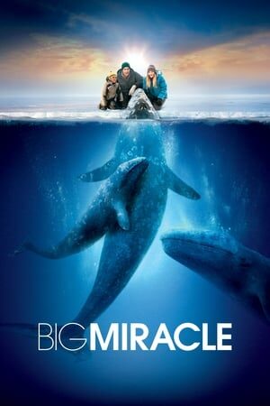 Xem phim Giải Cứu Cá Heo  - Big Miracle (2012)