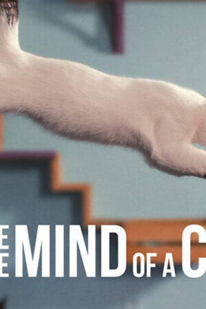 Xem phim Những chú mèo nghĩ gì  - Inside the Mind of a Cat (2022)