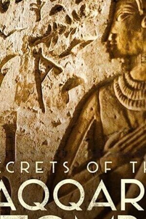 Xem phim Bí Mật Các Lăng Mộ Saqqara  - Secrets of the Saqqara Tomb (2020)