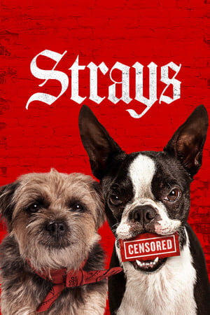 Xem phim Những Chú Chó Bụi Đời  - Strays (2023) (2023)