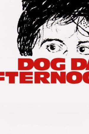 Xem phim Buổi Chiều Xui Xẻo  - Dog Day Afternoon (1975)