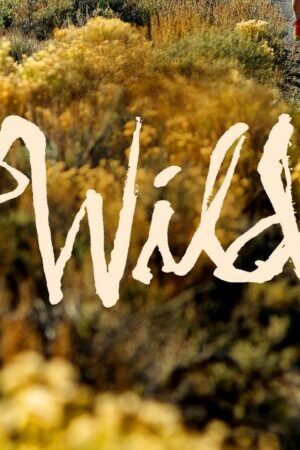 Xem phim Chuyến Phiêu Lưu Hoang Dã  - Wild (2014)