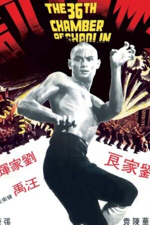 Xem phim Thiếu lâm tam thập lục phòng  - The 36th Chamber of Shaolin (1978)