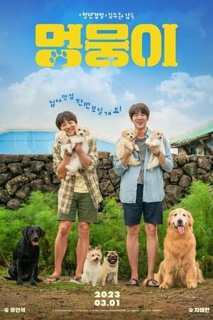 Xem phim Tìm Nhà Cho Boss  - My Heart Puppy (2023)