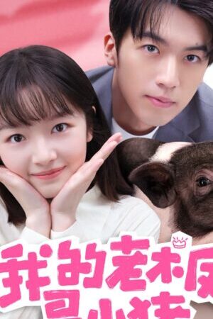 Xem phim Sếp Của Tôi Là Chú Lợn Nhỏ  - My Piggy Boss (2024)