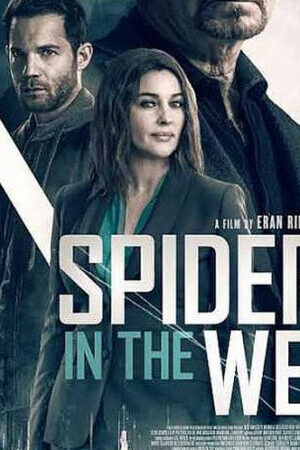 Xem phim Nhện Trong Mạng  - Spider In The Web (2019)