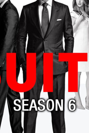 Xem phim Tố tụng ( 6)  - Suits (Season 6) (2016)