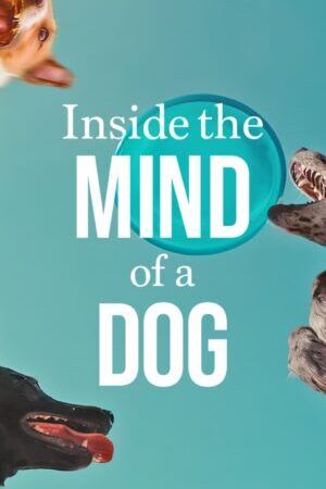 Xem phim Những chú chó nghĩ gì  - Inside the Mind of a Dog (2024)