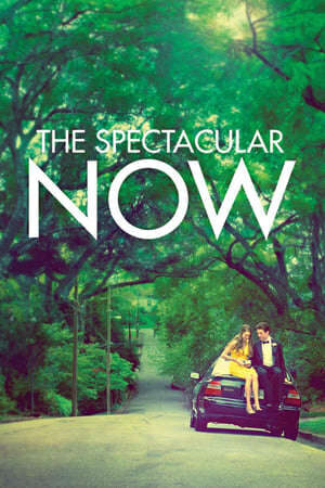 Xem phim Thực Tại Hoàn Mỹ  - The Spectacular Now (2013)