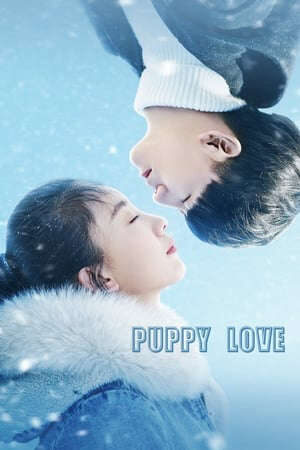 Xem phim Tình Yêu Tuổi Mới Lớn  - Puppy Love (2017)