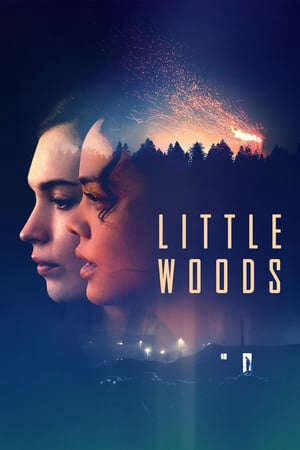 Xem phim Lằn Ranh Số Phận  - Little Woods (2019)