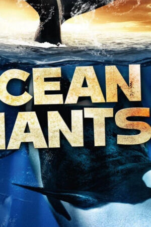 Xem phim Ocean Giants  - Ocean Giants (2011)