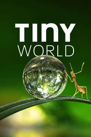 Xem phim Thế Giới Siêu Nhỏ ( 1)  - Tiny World (Season 1) (2019)