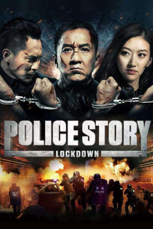 Xem phim Câu chuyện cảnh sát 2013  - Police Story 2013 (2013)