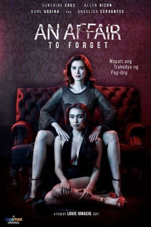 Xem phim Ngoại Tình An Affair to Forget  - An Affair to Forget (2022)