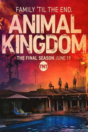 Xem phim Vương Quốc Tội Phạm ( 6)  - Animal Kingdom (Season 6) (2022)